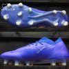 Adidas Nemeziz 18.1 FG- Football Blue/ White DB2080