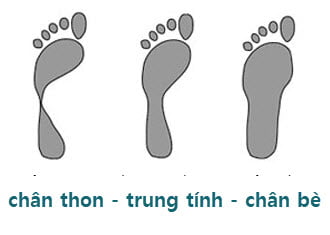 Chân thon- chân trung tính - chân bè