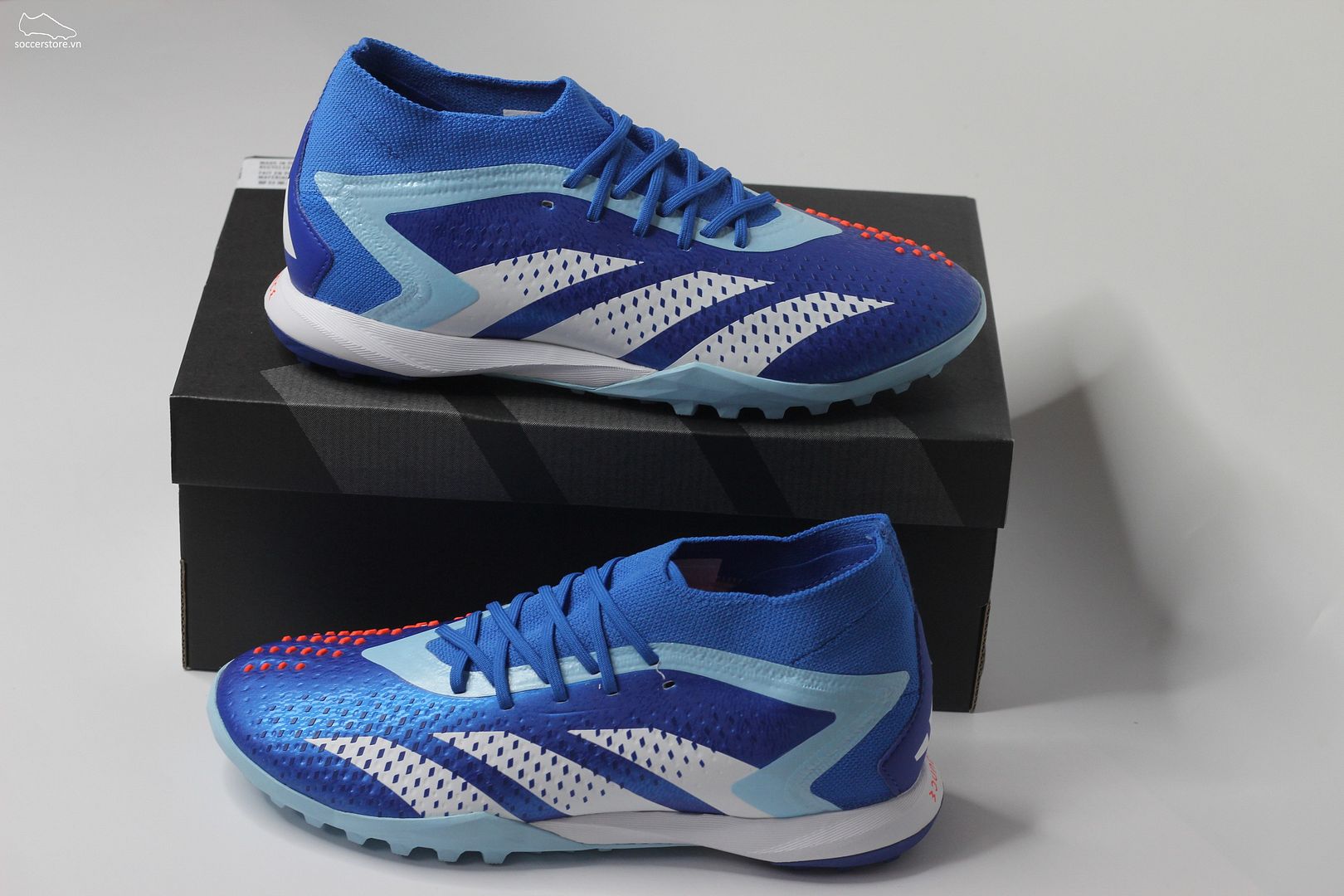 Adidas Predator Accuracy .1 TF Marine Rush pack màu xanh trắng GZ0008