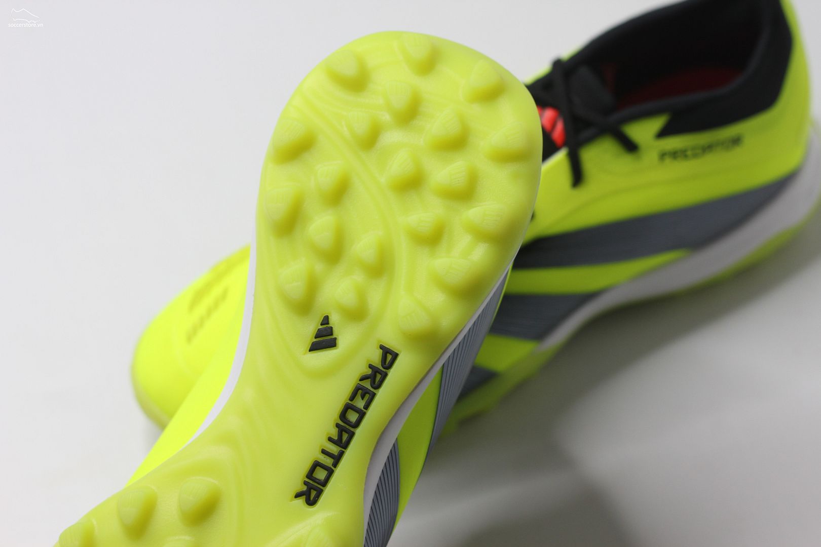 Adidas Predator Elite TF Energy Citrus pack- màu xanh chuối IG7730