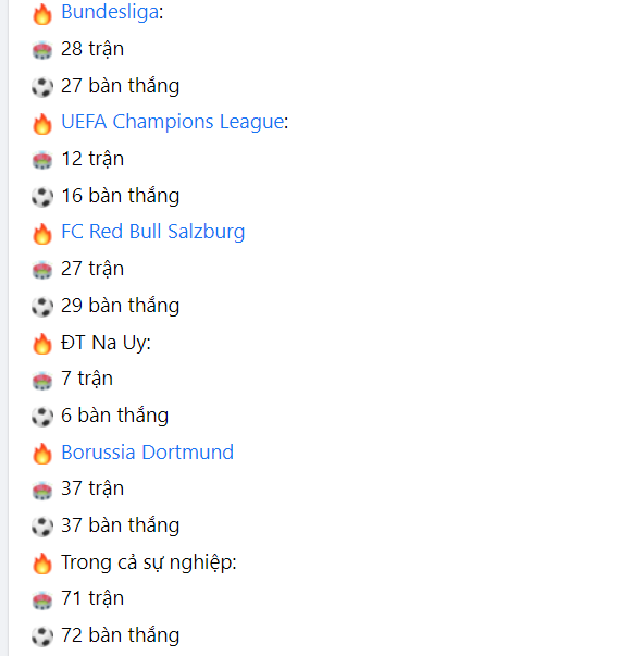 Thành tích thi đấu của Erling Halaand