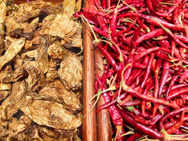 Ớt Chile Red