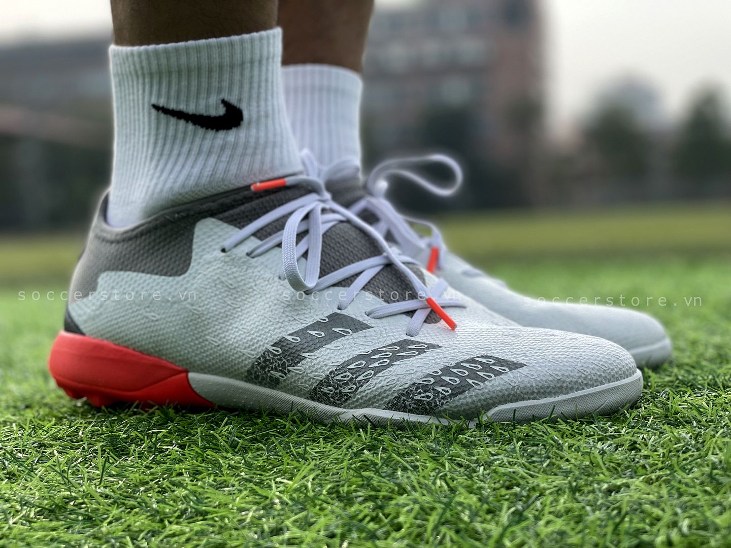 Giày Adidas Predator Freak .3 L TF White Spark FY6292