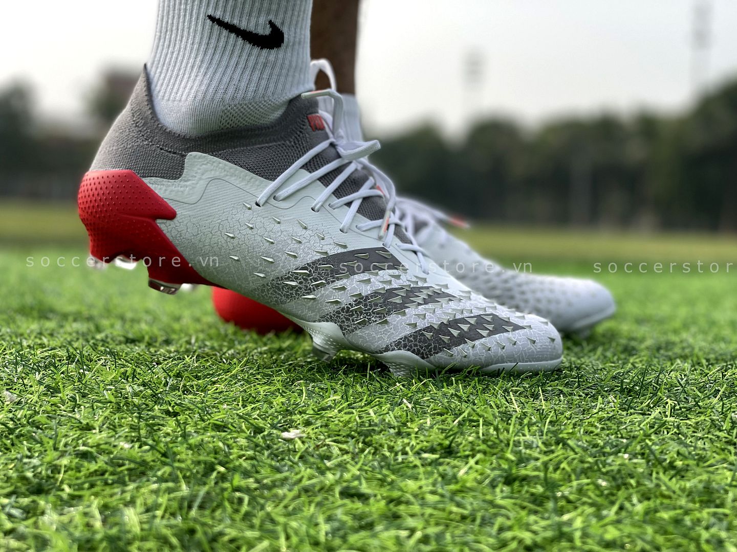 Giày Adidas Predator Freak .1 L FG White Spark FY6263