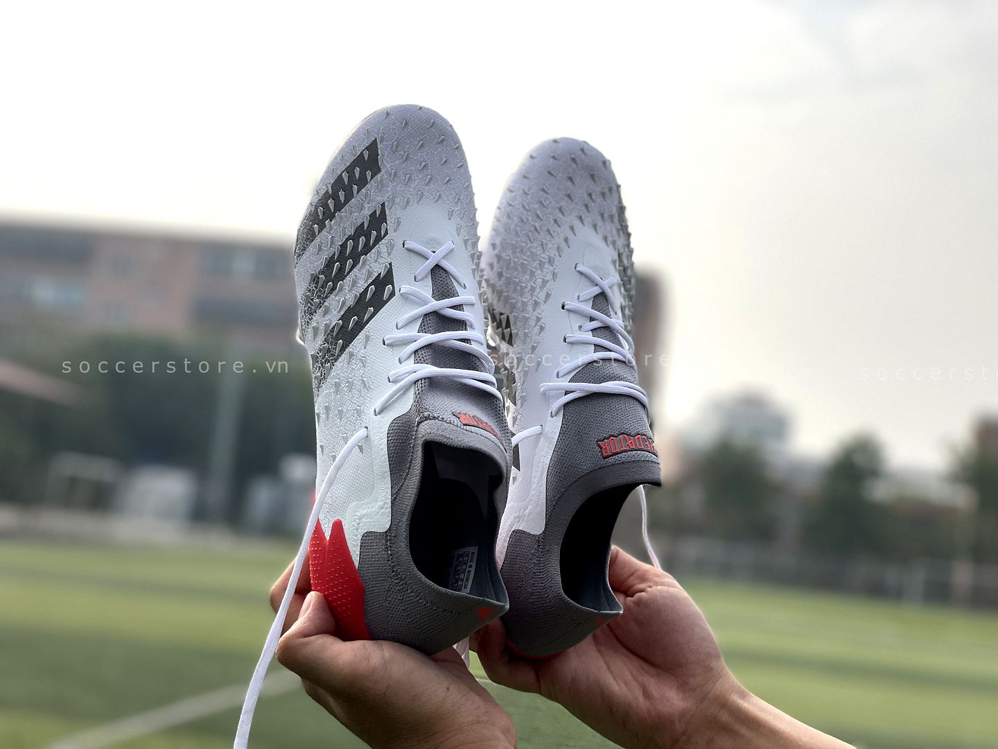 Giày Adidas Predator Freak .1 L FG White Spark FY6263