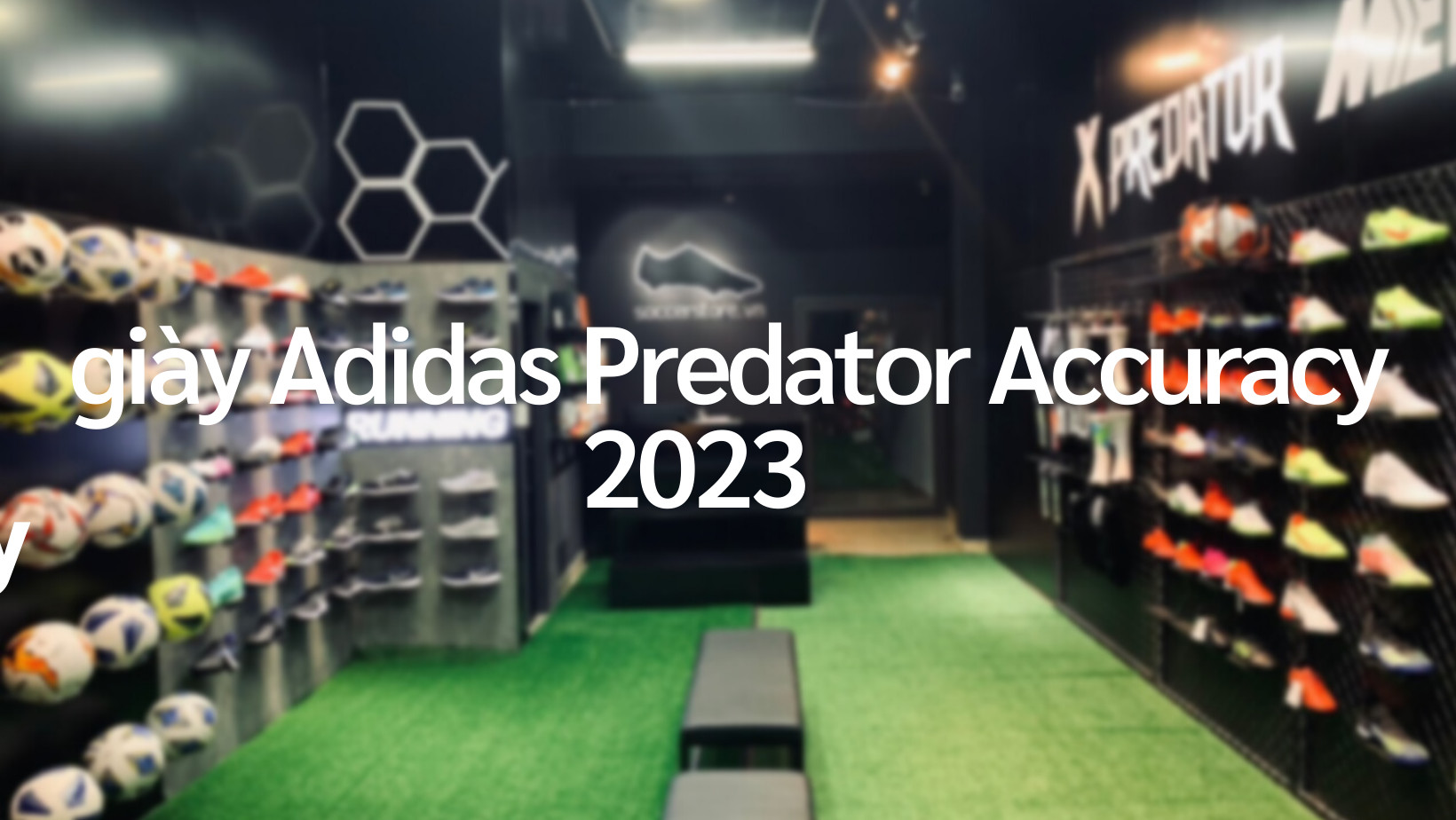 Giày Adidas Predator Accuracy 2023
