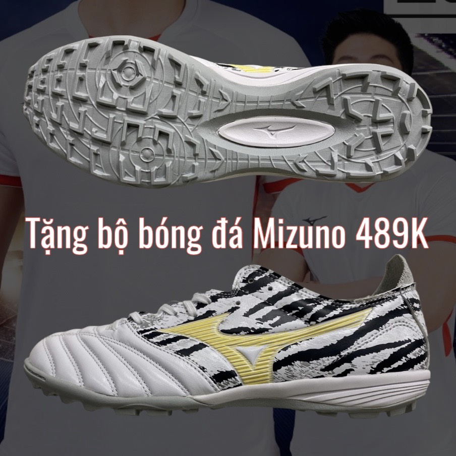 z4136407339569_fc2e55b7d28d4709a0689b5ad914f5ef