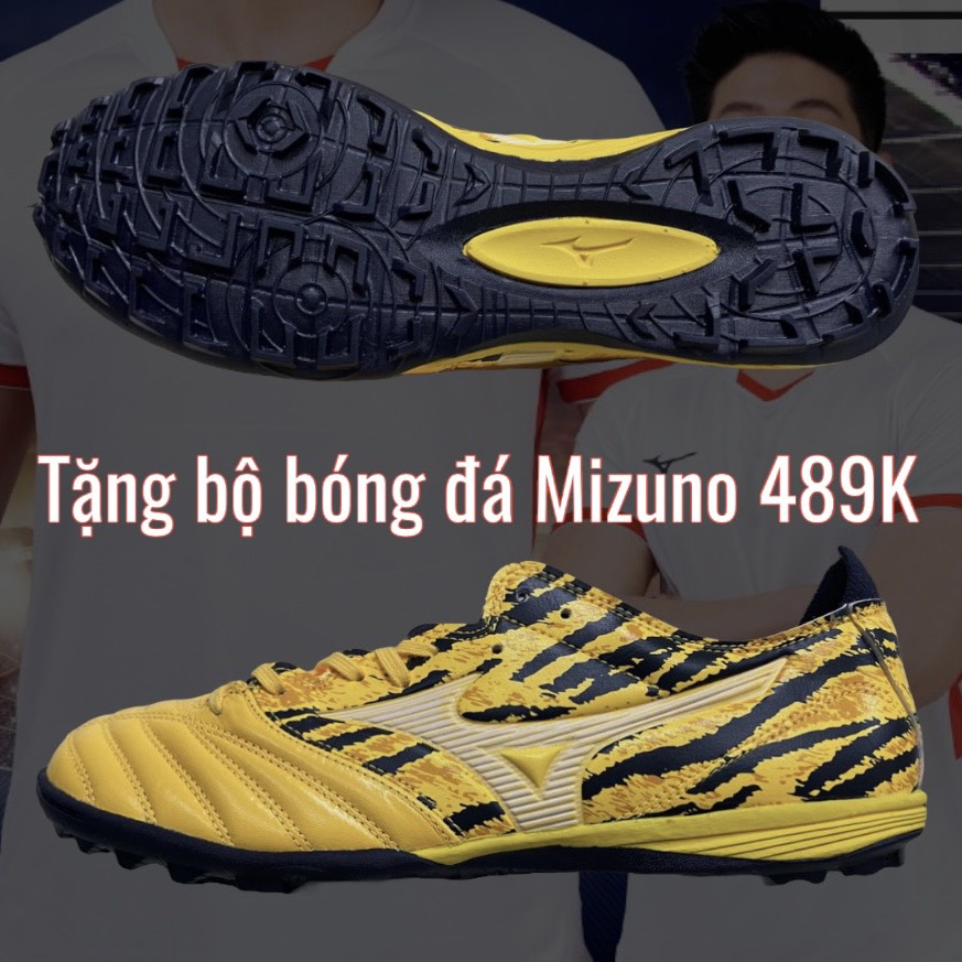 z4136407343709_8e35cd78cbde69cec29e08ae7de28ed4