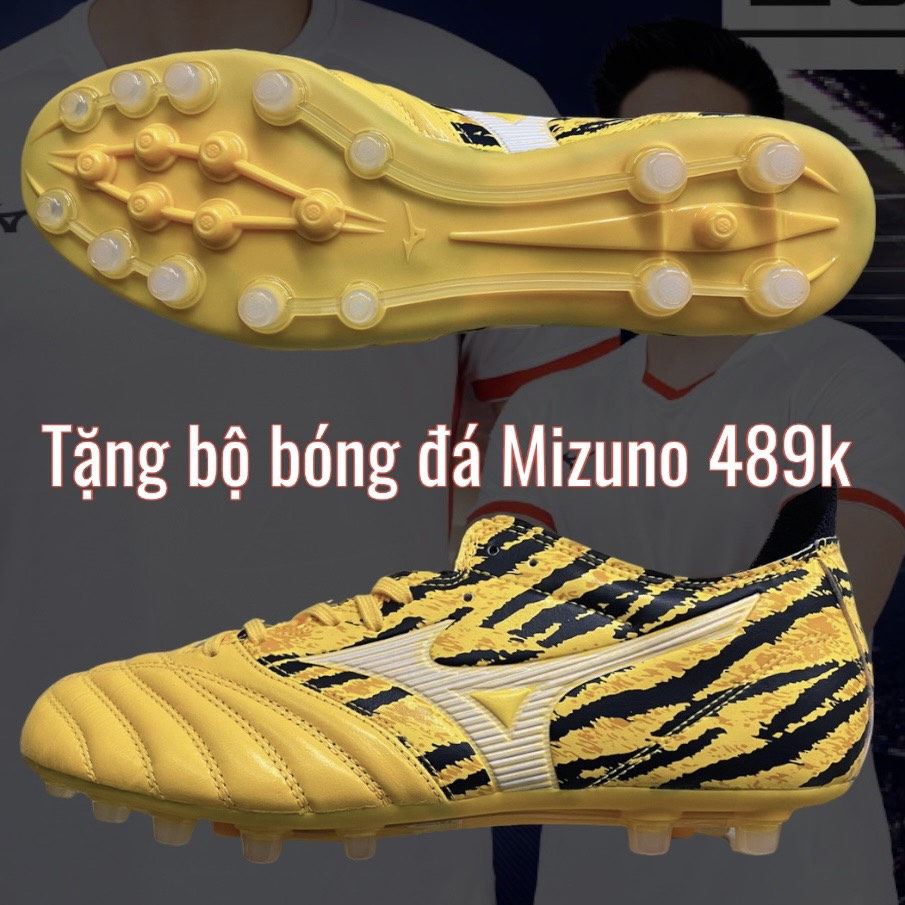 z4136407352085_b39ea3c47bd9a74423f4d527a53674c0