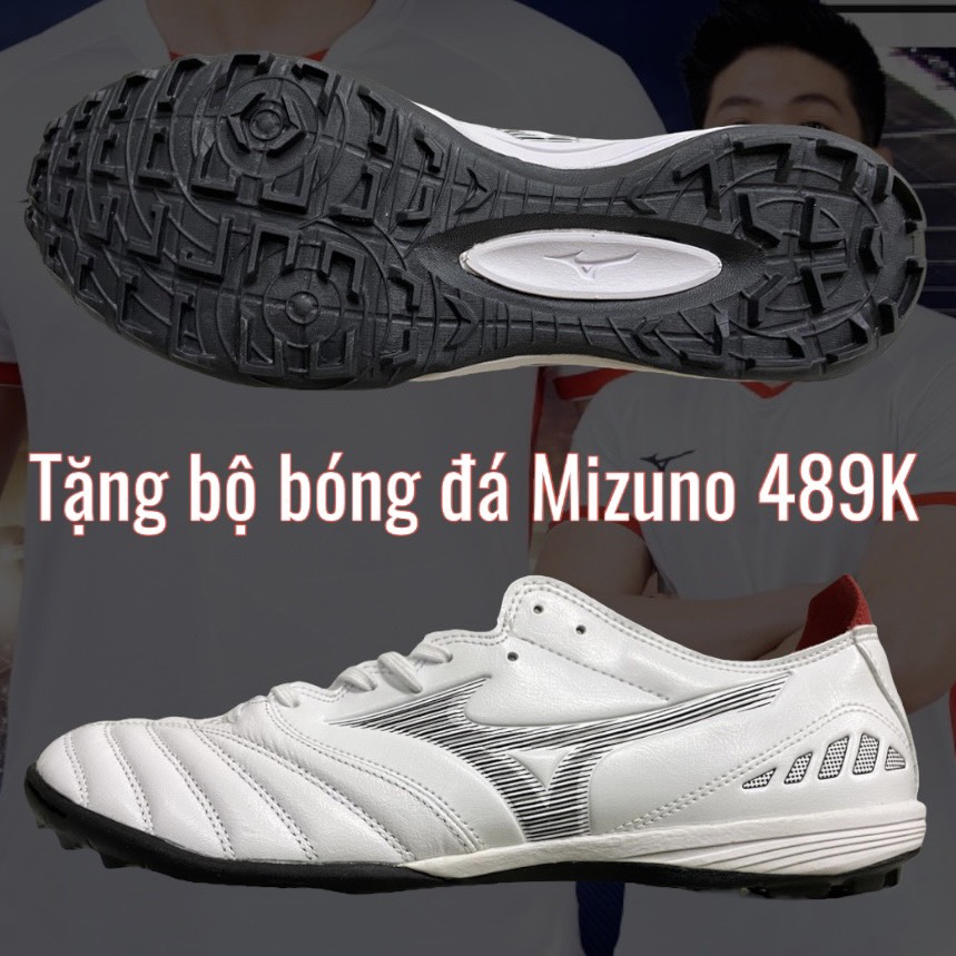 z4136407362620_b6a8f6b9404292a9f0141d81f73b5d77