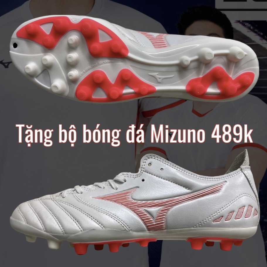 z4136407369997_f7a0d049f2199d85c74f65de7ddb62e8