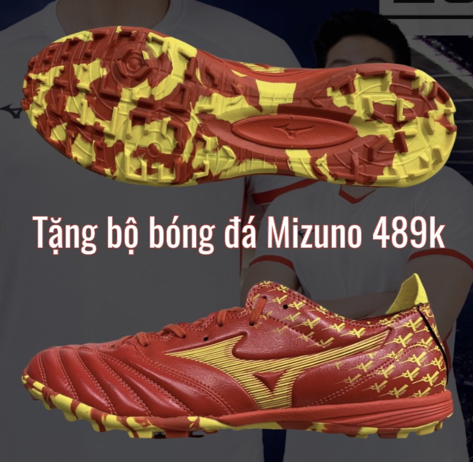 z4136407375972_371275ecf84d721135fffcbb24a845f1